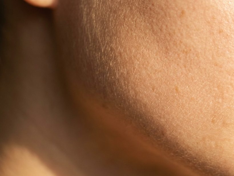Close detail of skin in soft, warm side light.